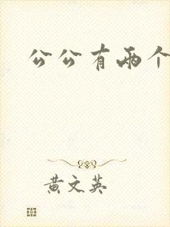 公公有两个儿媳