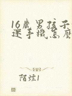 16岁男孩子沉迷手机怎么办