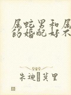 属蛇男和属羊女的婚配好不好