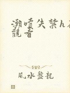 潮喷失禁h在线观看