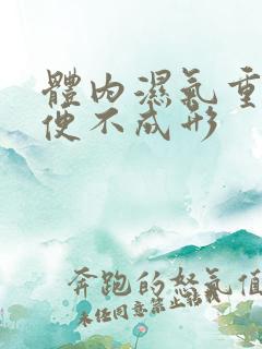 体内湿气重 大便不成形