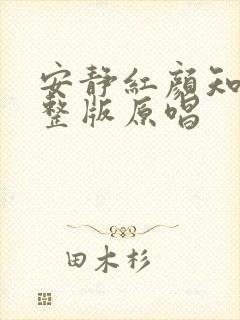 安静红颜知己完整版原唱