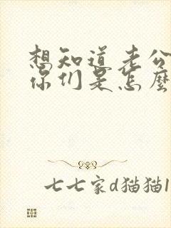 想知道老公出轨你们是怎么处理的