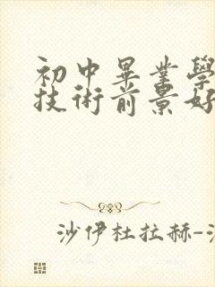 初中毕业学哪些技术前景好