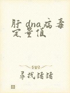 肝 dna病毒定量值