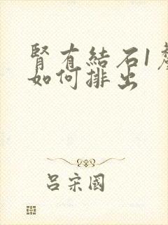 肾有结石1厘米如何排出