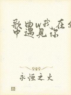 歌曲w我在红尘中遇见你