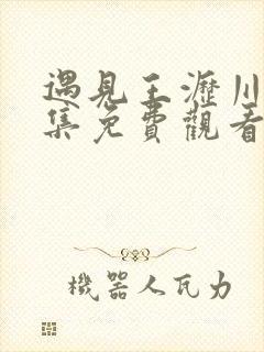 遇见王沥川40集免费观看王沥川和小秋