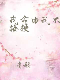 我命由我不由天接梗