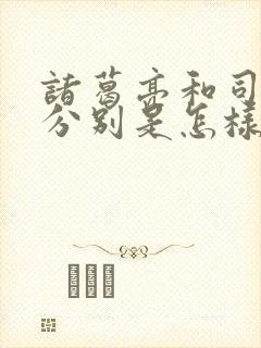 诸葛亮和司马懿分别是怎样的人