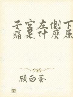 子宫左侧下面疼痛是什么原因