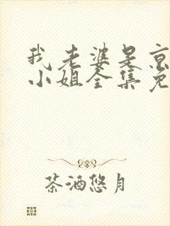 我老婆是京圈大小姐全集免费阅读