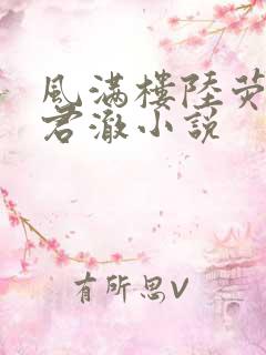 风满楼陆荧荧,君澈小说