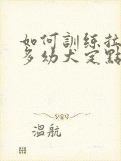 如何训练拉布拉多幼犬定点大小便