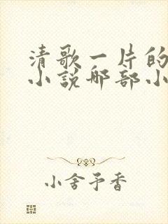 清歌一片的全部小说哪部小说好看
