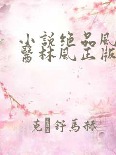 小说绝品风流狂医林风正版
