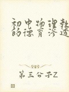 初中物理教学中的德育渗透