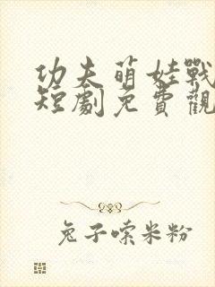 功夫萌娃战神爹短剧免费观看完整版