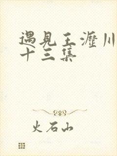 遇见王沥川第二十三集