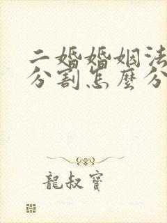 二婚婚姻法财产分割怎么分