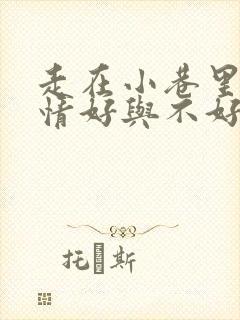 走在小巷里的心情好与不好的句子