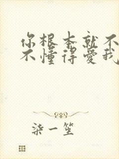 你根本就不懂得不懂得爱我是什么歌