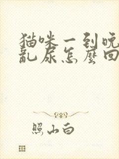 猫咪一到晚上就乱尿怎么回事