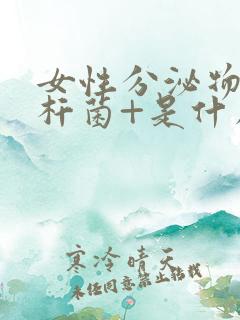 女性分泌物乳酸杆菌+是什么意思