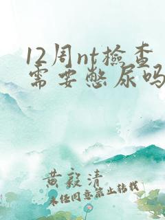 12周nt检查需要憋尿吗