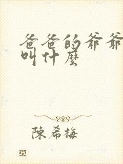 爸爸的爷爷应该叫什么