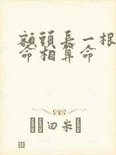 额头长一根白毛命相算命