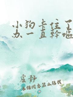 小狗卡住了怎么办一直干呕