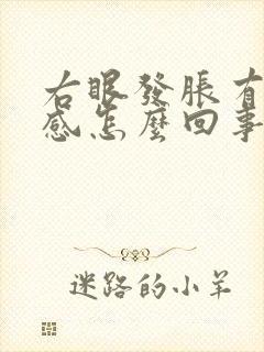 右眼发胀有压迫感怎么回事