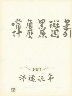 嘴角黑斑是因为什么原因引起的