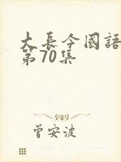 大长今国语在线第70集