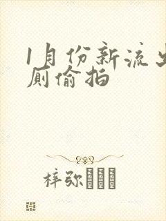 1月份新流出女厕偷拍