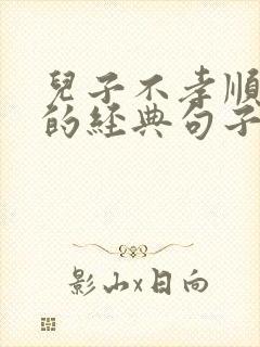 儿子不孝顺父母的经典句子