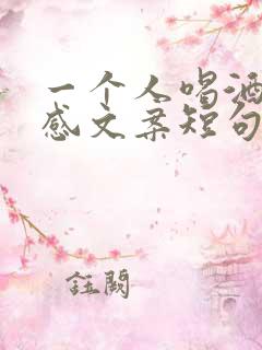 一个人喝酒的伤感文案短句