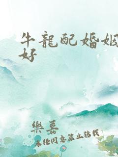 牛龙配婚姻好不好