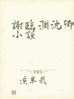 谢临渊沈卿欢的小说