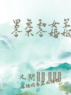 男兔和女羊属相合不合婚姻