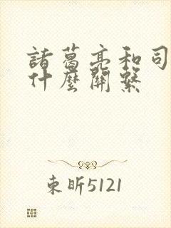 诸葛亮和司马懿什么关系