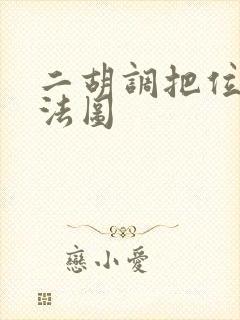 二胡调把位图指法图