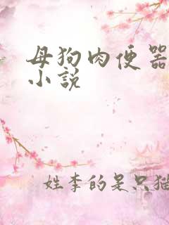 母狗肉便器校花小说