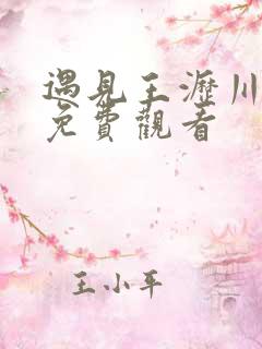 遇见王沥川二部免费观看