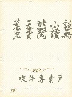 叶天明小说全文免费阅读无弹窗最新章节