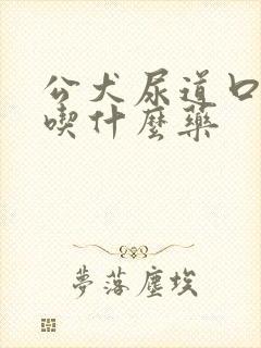 公犬尿道口黄脓吃什么药