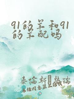 91的羊和91的羊配吗
