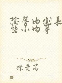 阴唇内侧长了一些小肉芽