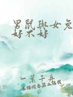 男鼠与女兔婚配好不好